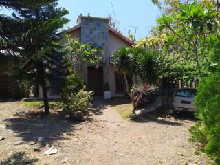 Pauls Homestay - Wado - 0