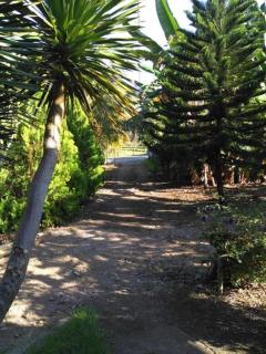 Pauls Homestay - Wado - 7