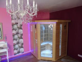 love room La gondole du plaisir - Saint-Pierre-dʼAmilly - 4