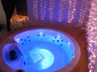 love room La gondole du plaisir - Saint-Pierre-dʼAmilly - 3