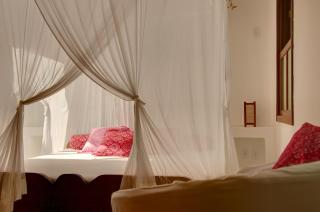 Casas Natureza Brasil - 9