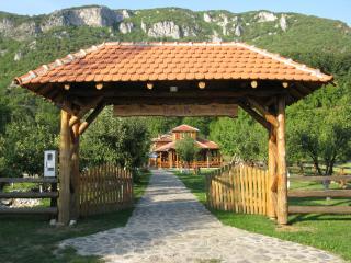Apartments Izvor Lisine - Strmosten - 0