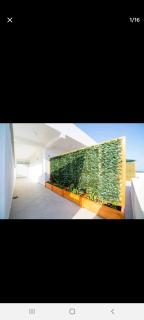 Home REX - Ulcinj - 9