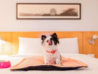 ibis Gurgaon Golf Course Road - An Accor Brand - Gurgaon - 8