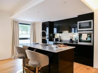 Stylish 2 bed apartment with large terrace - Londra - 9