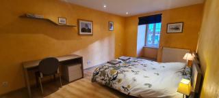 Grand Appartement Les Lumières d'Evian - Évian-les-Bains - 8