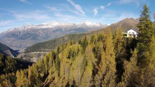 Berggasthaus Wasenalp - Brig - 8