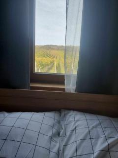 Sklipek Popice - Popice - 2