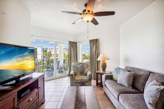 Sunset Vistas 404N - St. Pete Beach - 0