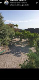 unique view kalamata - 8