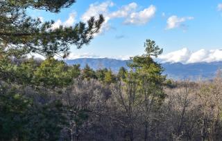 Stunning Home In Linguaglossa With Wifi - 1