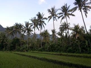 Ode Resto Guesthouse - 9