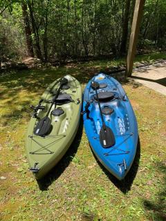 Cabin Fever on Cartecay River - Ellijay - 3