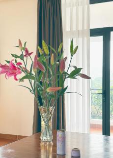 La foret Vân Hoà villa 2 - 8