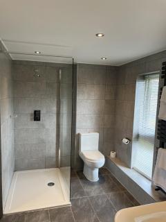 Dolphin Hotel Cambridge - St Ives - 1