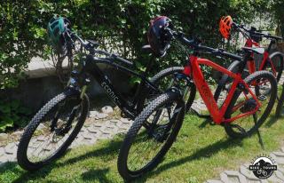 Evergreen Balvanyos - Balvanyos - 8