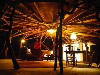 Tarzan Treetops - Manzanillo - 2