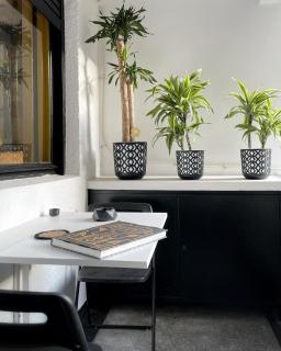 Charming studio in the heart of Bucharest - 4