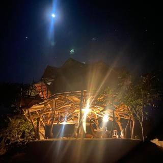 Tarzan Treetops - Manzanillo - 5