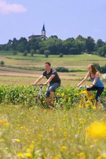 Turistična Kmetija Čebelji Gradič - 5