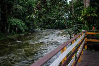 Pousada cachoeira de Paraty - Sertão do Taquari - 6