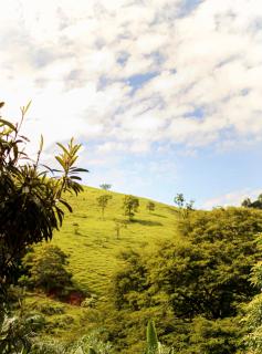 Chalés São João - a 500m da Cachoeira de Bom Jardim - com piscina - 3