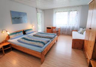 BodenSEE Apartments Daisendorf nahe Meersburg - Daisendorf - 3