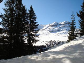Chalet De L'arbaron - Studio pour 4 Personnes 92 - Flaine - 2