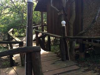 Tree Top Eco-Lodge - Banlung - 4