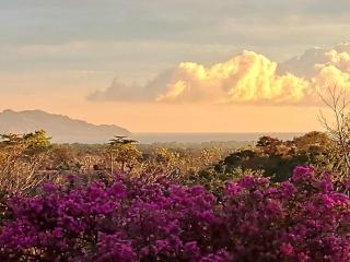Tucanes Ridge Bed and Breakfast - Tárcoles - 0