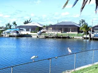 Relax with nature in our Waterfront 4 bedroom -HEATED POOL HOME-KING BED - Cape Coral - 8