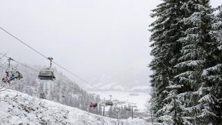 Luxury Eco-Chalet Pino Achensee - hiking, biking & ski-in, ski-out - 6