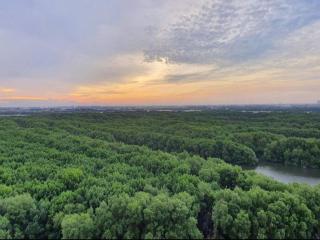 2BedRooms Apartment in Gold Coast PIK - 6