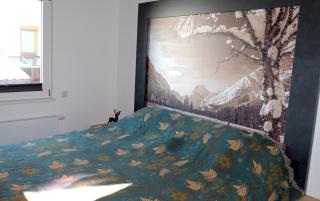 Luxury Eco-Chalet Pino Achensee - hike, bike, ski for 6 or more - Achenkirch - 4