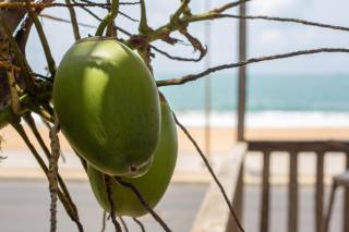 Tahiti Hotel - Cotonou - 6