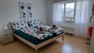 Apartment Cindy - Spiez - 8
