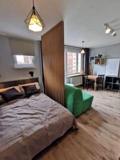 Flat near Old Town - Wrocław - 8