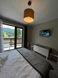 Apartamente si camere -Garden Apart Predeal - 9