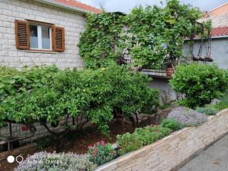 Apartments with parking spaces Postira, Brac - 22201 - Postira - 8