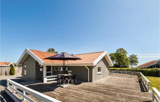 Three-Bedroom Holiday Home In Otterup - Otterup - 4