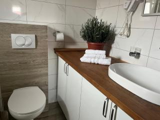 LUXURY MANDRE HOUSE - Mandre - 8