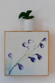 Cosy Leith Escape - Edinburgh City - Edinburgh - 9