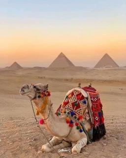 EMPIRE PYRAMIDS View - Il Cairo - 5