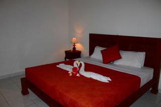Swan Inn - Ubud - 7