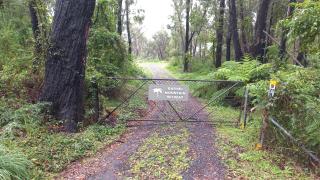 Mountain Tranquility - Mount Tomah - 2