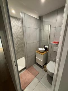 Bright and spacious apartment - Fontenay-le-Fleury - 4