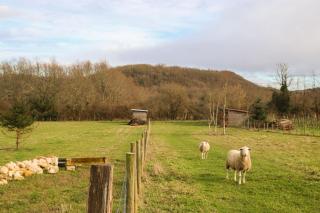 Ferme de La Plante - Saint-Aubin-de-Branne - 3