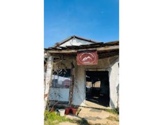 The Kanatal Orchids, Kanatal - Kanatal - 9