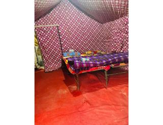 The Kanatal Orchids, Kanatal - Kanatal - 7