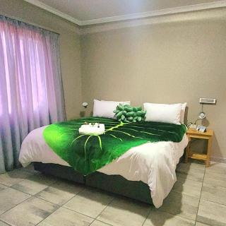 OR Tambo Rudman B self-Catering Home L2 - 1